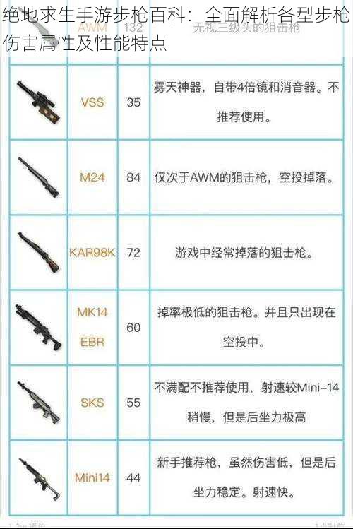 绝地求生手游步枪百科：全面解析各型步枪伤害属性及性能特点