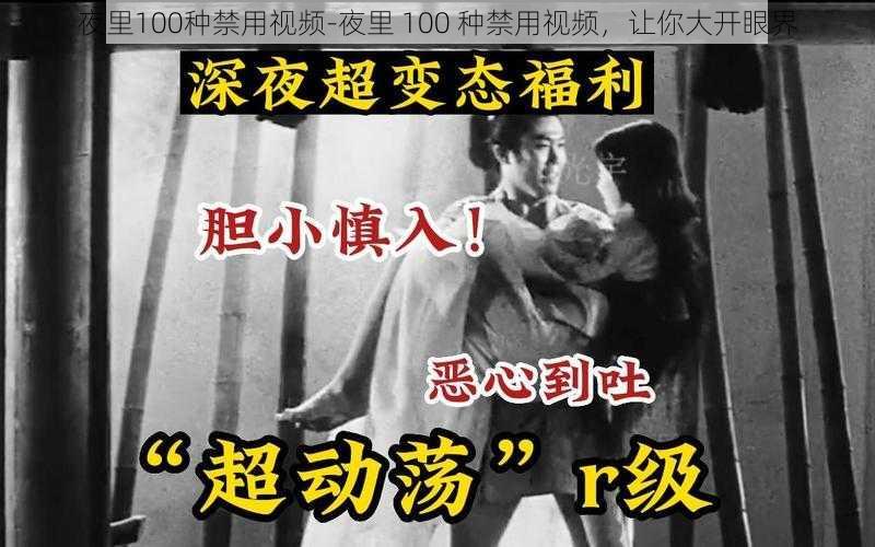 夜里100种禁用视频-夜里 100 种禁用视频，让你大开眼界