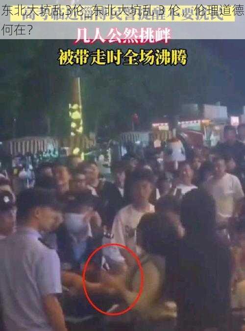 东北大坑乱3伦_东北大坑乱 3 伦，伦理道德何在？