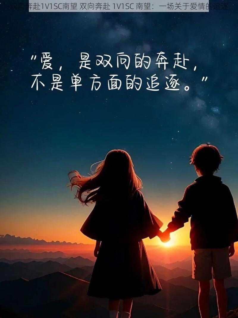 双向奔赴1V1SC南望 双向奔赴 1V1SC 南望：一场关于爱情的追逐