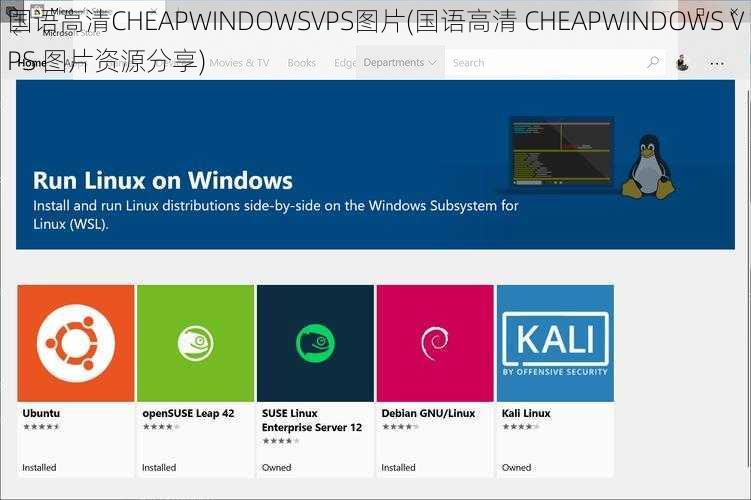 国语高清CHEAPWINDOWSVPS图片(国语高清 CHEAPWINDOWS VPS 图片资源分享)