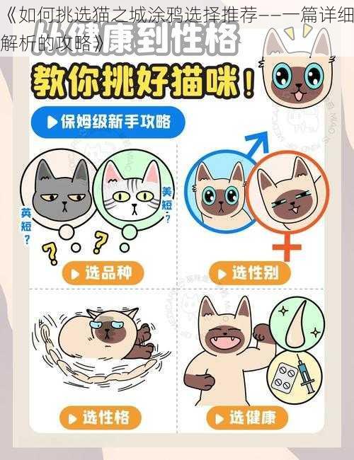 《如何挑选猫之城涂鸦选择推荐——一篇详细解析的攻略》