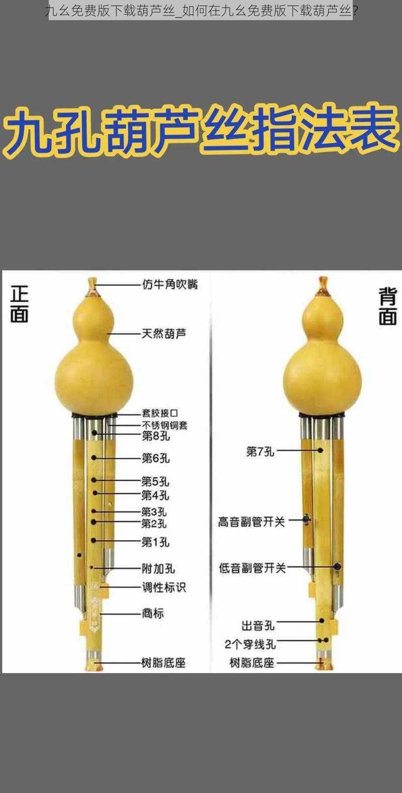 九幺免费版下载葫芦丝_如何在九幺免费版下载葫芦丝？