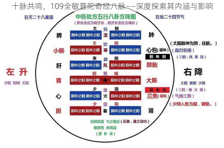 十脉共鸣，109全敏普陀奇经八脉——深度探索其内涵与影响