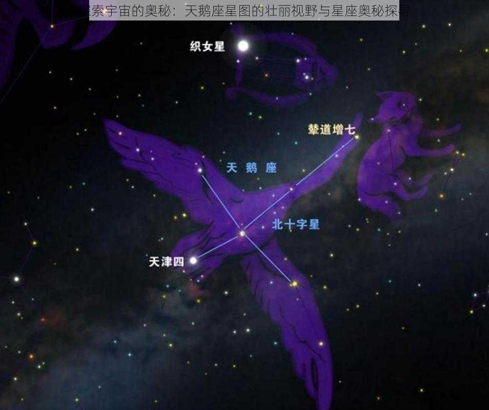 探索宇宙的奥秘：天鹅座星图的壮丽视野与星座奥秘探寻