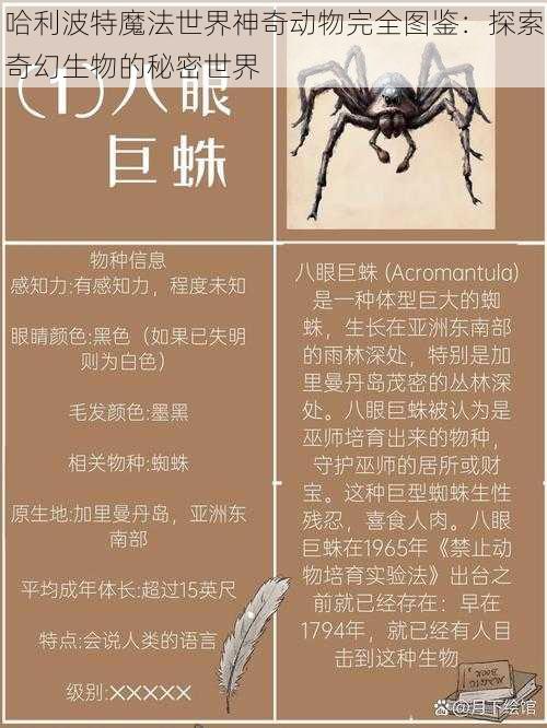 哈利波特魔法世界神奇动物完全图鉴：探索奇幻生物的秘密世界