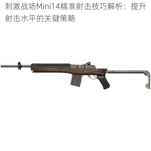 刺激战场Mini14精准射击技巧解析：提升射击水平的关键策略