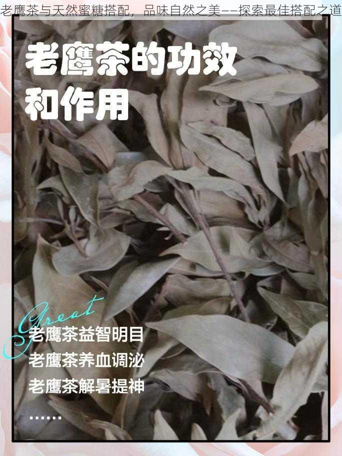 老鹰茶与天然蜜糖搭配，品味自然之美——探索最佳搭配之道