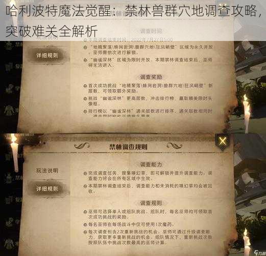 哈利波特魔法觉醒：禁林兽群穴地调查攻略，突破难关全解析