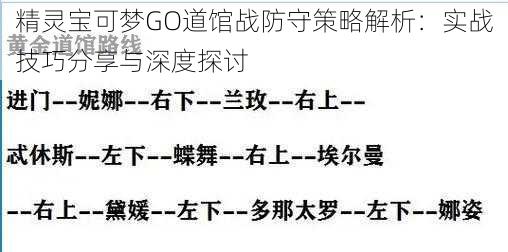 精灵宝可梦GO道馆战防守策略解析：实战技巧分享与深度探讨