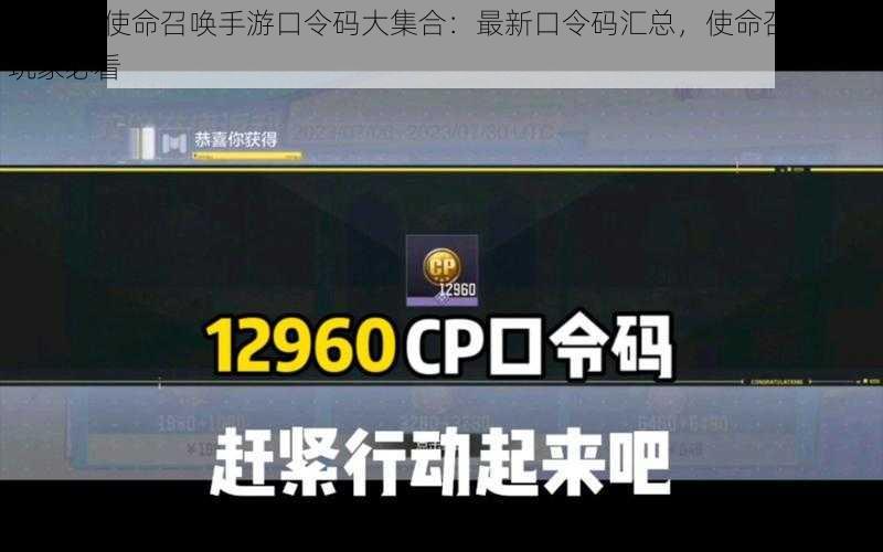 2023年使命召唤手游口令码大集合：最新口令码汇总，使命召唤手游玩家必看