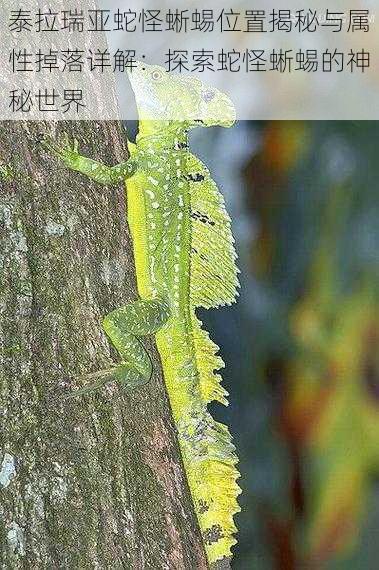 泰拉瑞亚蛇怪蜥蜴位置揭秘与属性掉落详解：探索蛇怪蜥蜴的神秘世界