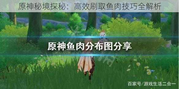 原神秘境探秘：高效刷取鱼肉技巧全解析